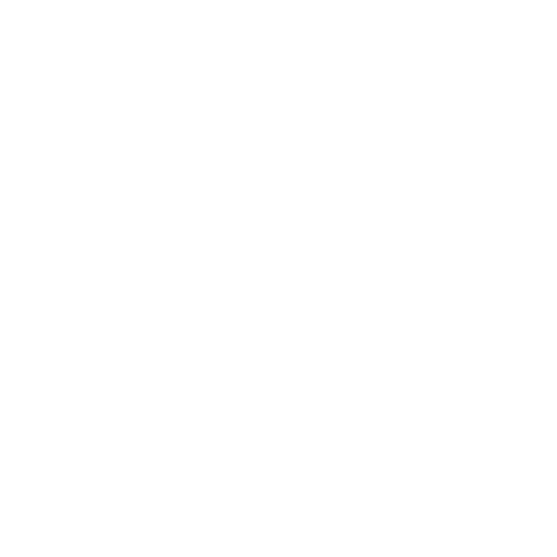 expert service